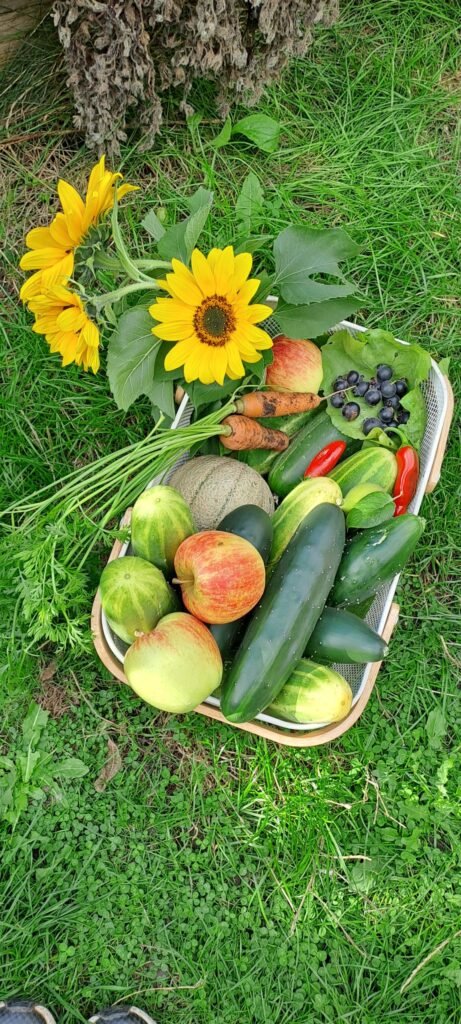 Barraldia 2025 garden harvest